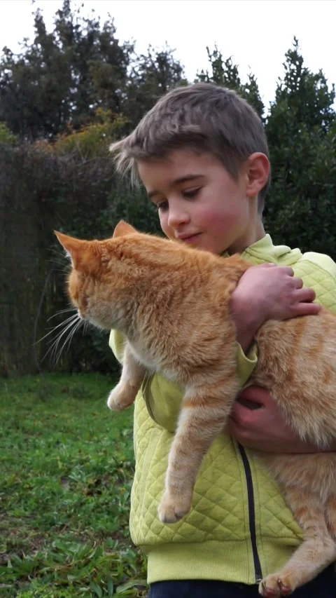 Boy with his cat in his arms cuddling him outdoors Stock Footage 262559853