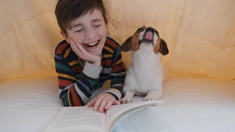 Boy  his dog of breed Jack Russell are lying in bed under blanket reading book Video stock 105268529