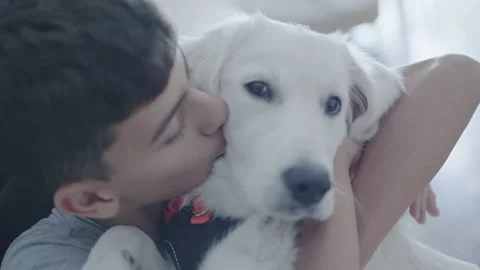 Boy with his dog 動画素材 212184614