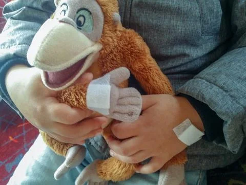 Boy with his monkey Stock Photos