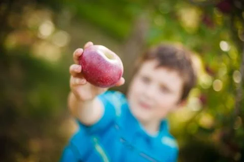 Boy holding an apple Foto stock