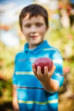 Boy holding an apple Foto stock