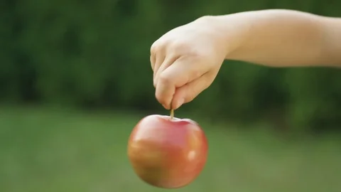 Boy holding apple by stem and spinning it in backyard Video stock 119989624