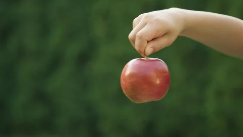 Boy holding apple by stem and spinning it in backyard Stock Footage 119989662