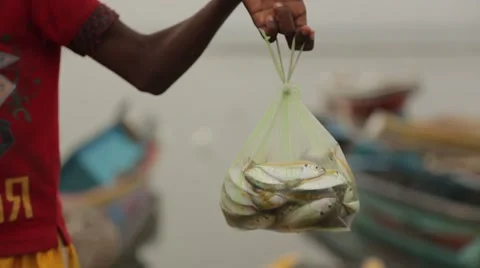 Boy holding a bag with fish in Sri Lanka Stock Footage 49366023