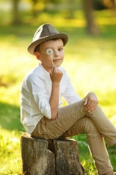Boy holding dandelion. Stock Photos