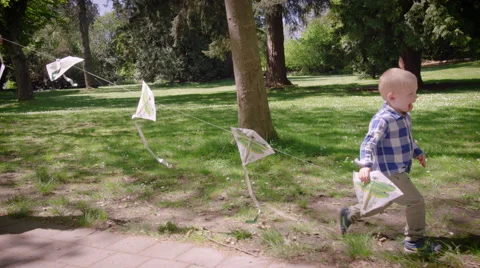 Boy holding kites while walking in park Stock Footage 64453408