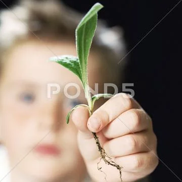 Boy holding a plant shoot Stock Photos
