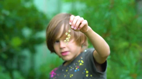 The boy holds a currant cluster in front of him. Stock Footage 156902120