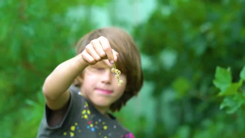 The boy holds a currant cluster in front of him. Stock Footage 156902279
