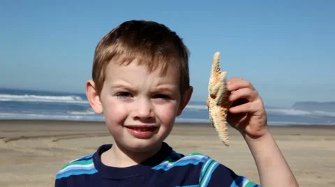 Boy holds up starfish Stock Footage 61653749