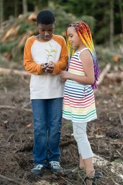Boy holds tree sapling while girl looks on Stock Photos