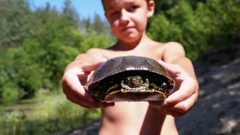 Boy Holds Turtle in Arms and Smiles on Background of River with Green Vegetation Stock Footage 135363771