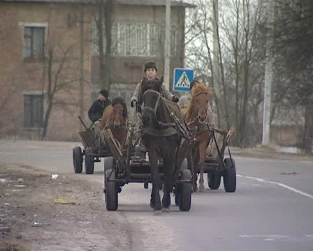 The boy on a horse Stock Footage 22480903