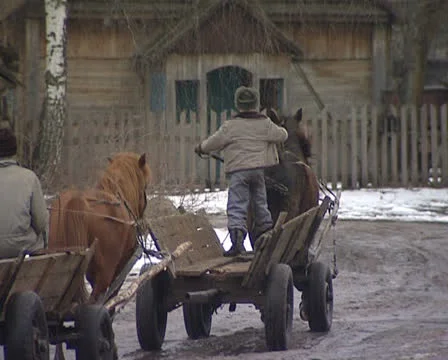 The boy on a horse Stock Footage 22480913