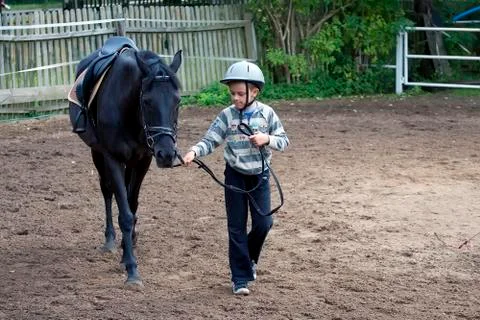 Boy with a horse Stock Photos