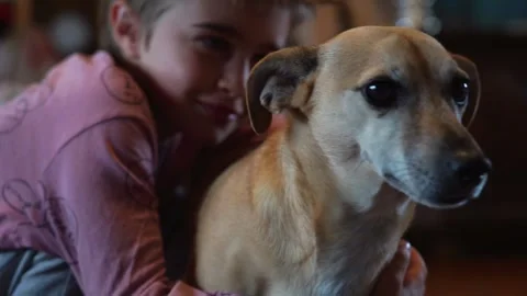Boy hugging his dog and cuddling him Stock Footage 254411656