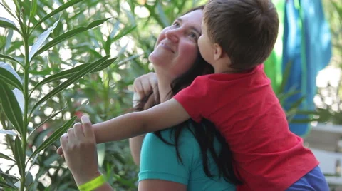 Boy hugging his mother Stock Footage 63721248