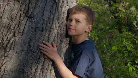 Boy Hugging Tree in Forest Park Stock Footage 307068628