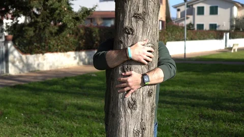 Boy hugging a tree in the park. He is happy. Stock Footage 123355182