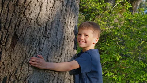 A boy hugs a tree, demonstrating his love for nature. Stock Footage 307625315