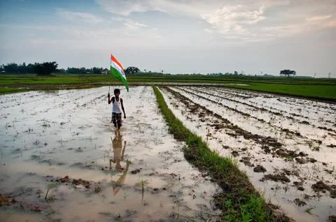 Boy with indian national flag Stock Photos