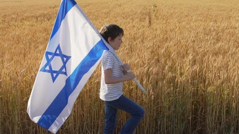 Boy with Israeli flag walking through a wheat field Vídeo Stock 129649745