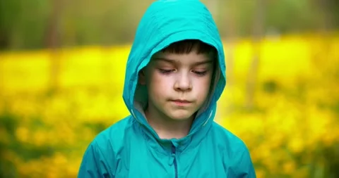 A boy in a jacket looks at the camera, on a yellow background from dandelions Stock Footage 130215291