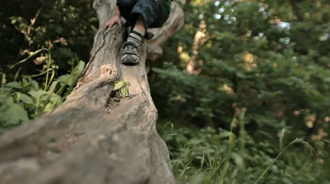 BOY JUMP FROM LOG Stock Footage 68755832