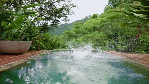 Boy Jumping into Infinity Pool with Tropical Jungle Background in Slow Motion. Stock Footage 338367451