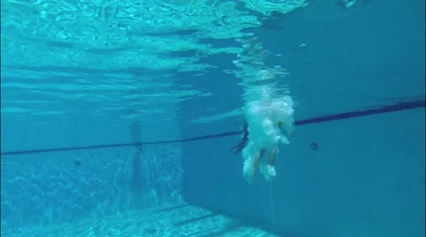Boy Jumping Into the Pool Stock Footage 40687333