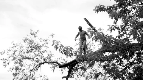 Boy jumping into the river from a tree leaving a spray on the surface of the Stock Footage 96345896