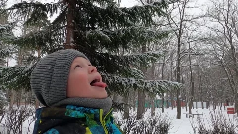 Boy kid catches snow winter Video stock 147443347