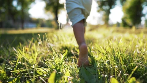 Boy kid run on grass in summer in park. Feet close up on green grass in sun. Kid Video stock 229240197