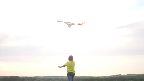 Boy kid run with a kite in the park. happy family kid dream concept. a child one Stock Footage 252705912