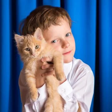 The boy with the kitten Stock Photos