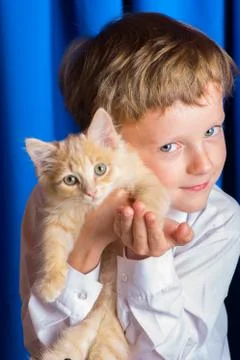 The boy with the kitten Stock Photos