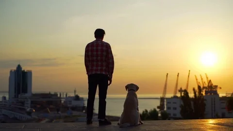Boy with labrador dog raise up one hand enjoy sunset cityscape rapid slow motion Stock Footage 79771998