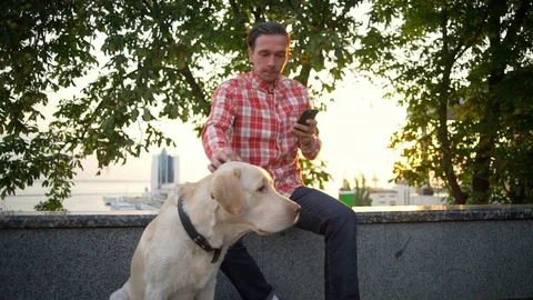 Boy with labrador dog texting message cityscape sundown rapid slow motion Stock Footage 79771580