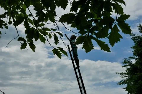 Boy up a ladder Foto stock