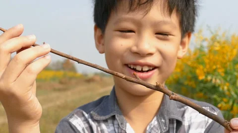 Boy with ladybird ,slow motion Stock Footage 62351797