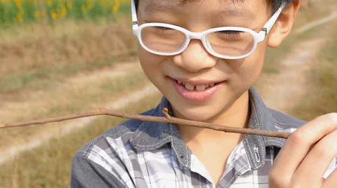 Boy with ladybird ,slow motion Stock Footage 62351823