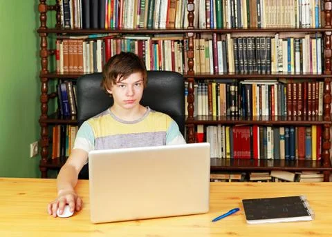 Boy with laptop Stock Photos