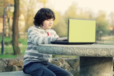 Boy with laptop sitting by the stone table in the park NTSC Stock Footage 3476452