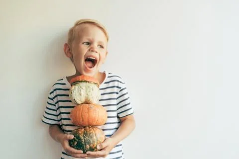 The boy laughs and holds a stack of pumpkins Stock Photos