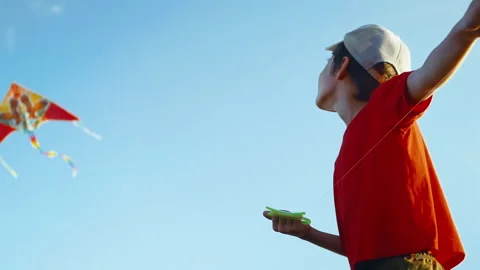 Boy Launches a Colored Kite Into the Blue Sky. The Little Kid Controls a Kite On Stock Footage 233965080