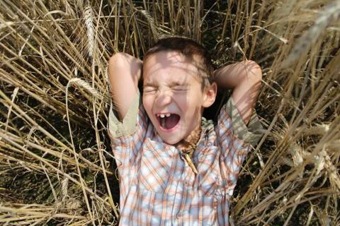 The boy lay in a wheat field. Stock Photos