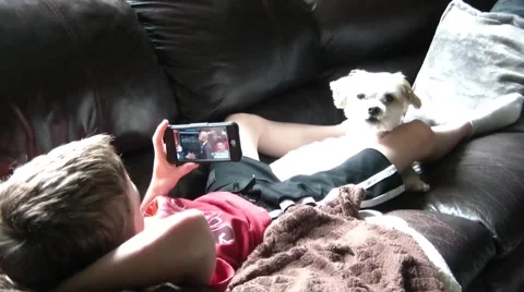 Boy Laying with Dog Video stock 65745062