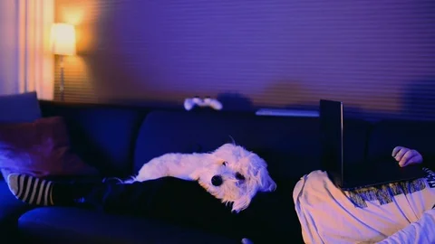 Boy lays down on sofa with laptop and his dog relaxing Stock Footage 98850261