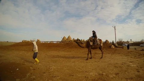 The boy is leading a camel on which sits a girl, southeast of Turkey Video stock 81908450